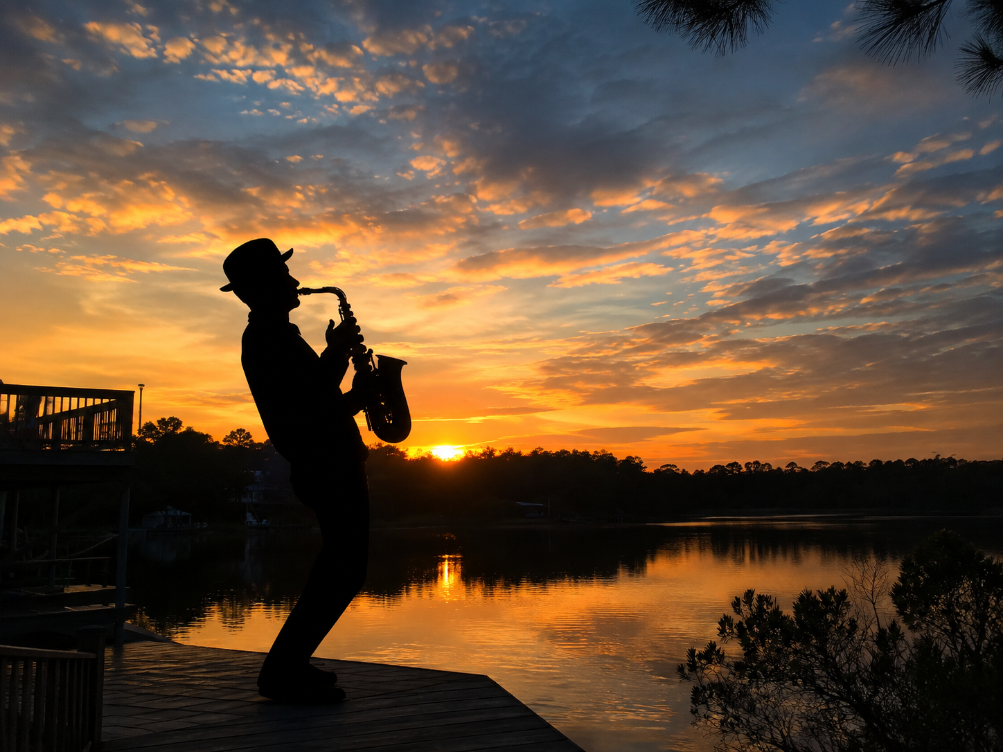 Sax Player, Zook